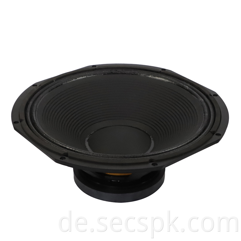 8ohm Stage Concert Speaker